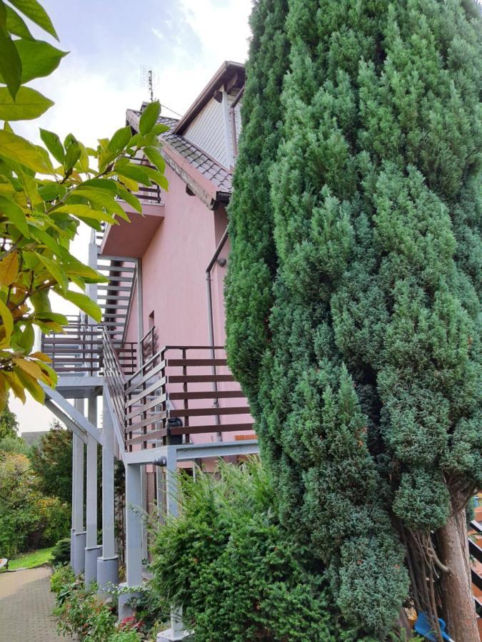 Esja Homestay